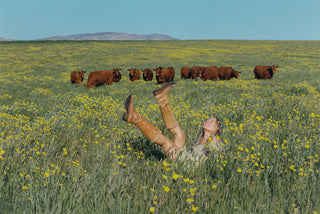 Californian Wildflowers with Lili Koi