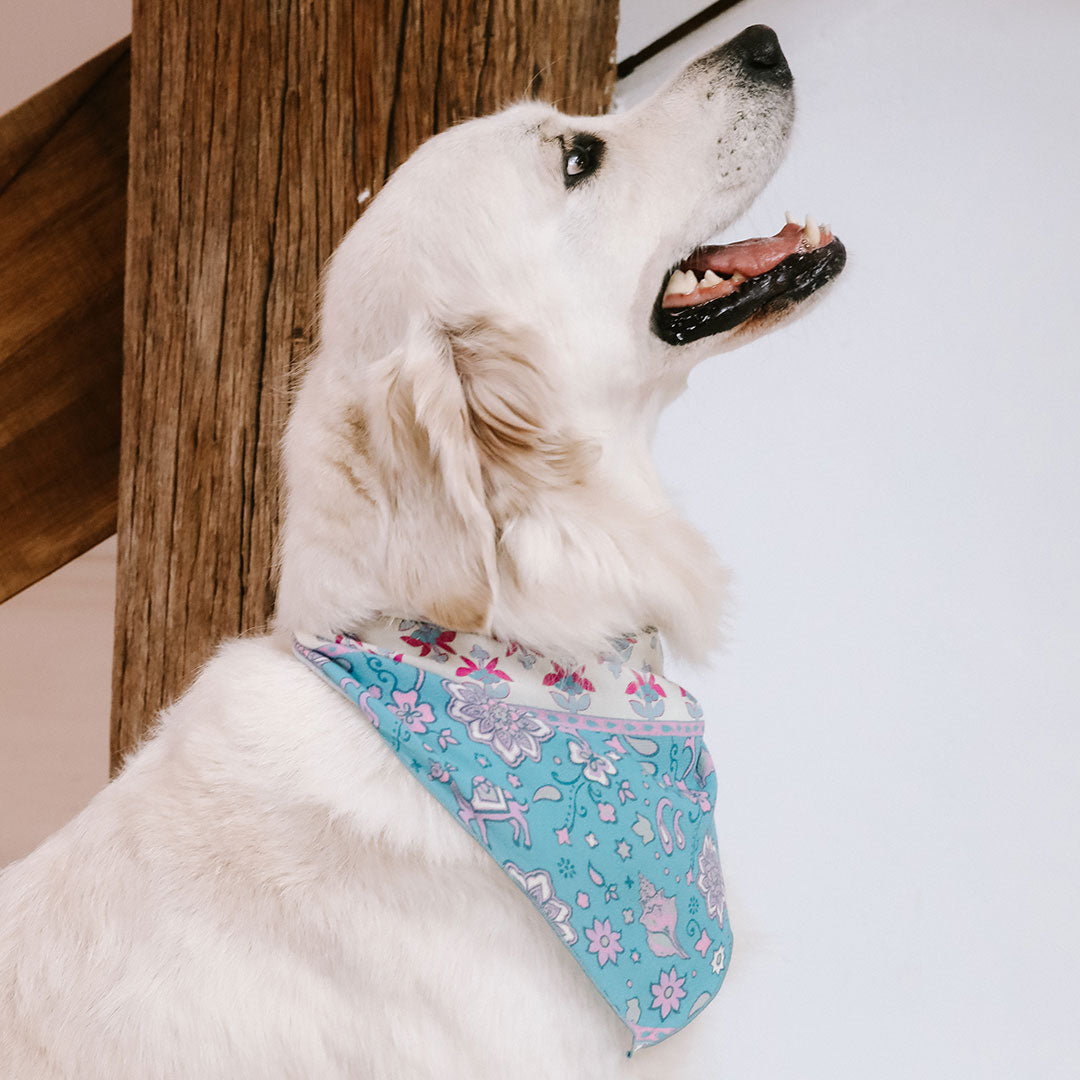 Lovers Beach Dog Bandana Large