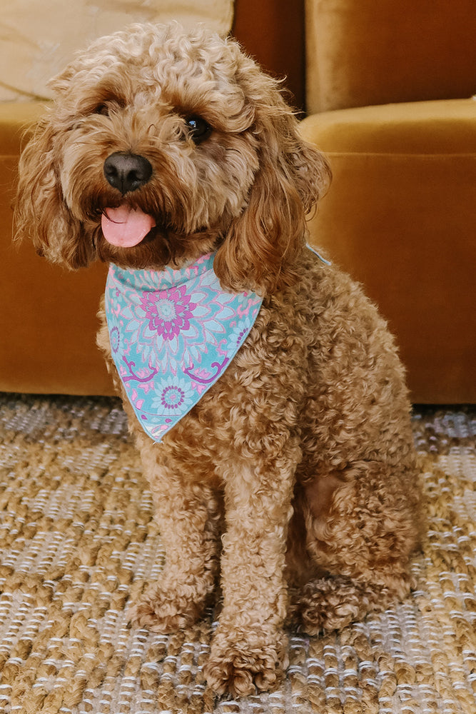 Lovers Beach Dog Bandana - Medium